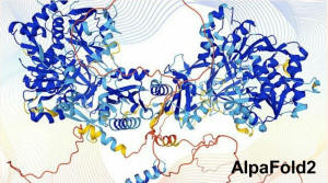 Alpha Fold2