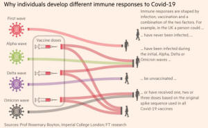 Immunity Differences