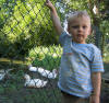 josh 3